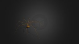 Spider Pholcus Phalangioides Walking insect, spider, bug, legs, long, arachnid, insecto, arachne, arana, spiderweb, arachnida, phobia, arachnophobia, arachnoid, character, creature, monster