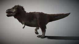 Tyrannosaurus 4.1 trex, raptor, rig, rex, park, triceratops, jurassic, feathers, theropod, tyrannosaurus, paleonthology, jurassicpark, jurassicworld, animated, rigged, dinosaur, dino
