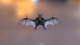 Bat bat, zoo, rodent, animal