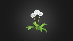 Sow-thistle 3D Model plant, field, forest, grass, flower, ground, wild, herb, sonchus, sow-thistle