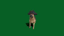 Pirate Dog Shepherd (Halloween) google, dog, animals, holloween, sheperd, myanmar, pirate, nyilonelycompany