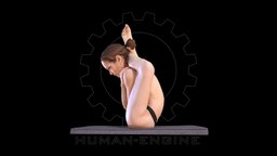 Sylph Anatomical Scan 310 body, anatomy, muscle, engine, woman, flexible, realitycapture, character, girl, photogrammetry, asset, model, female, human, person, contortionist, human-engine