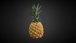 Ananas food, fruit, ananas, realitycapture, photogrammetry, 3d, scan