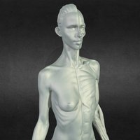 Female Anatomy Statue 3D scan anatomy, 3d-scan, muscle, statue, einscan-s, female