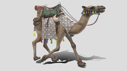 Camel with saddle rigged and animated saddle, camel, animation, rigged, noai