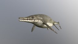 ichthyosaurus ichthyosaur, ichthyosaurus
