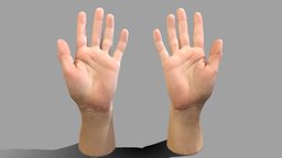 Female hands open anatomy, hands, human-hand, vrgame, anatomy-human, female-hand, hand, anatomy-body-parts, female-hands, anatomy-hand