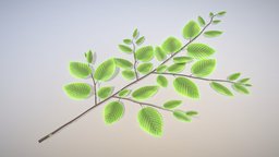 Hornbeam Branch (High-Poly) tree, green, plant, leaf, high-poly, isolated, vis-all-3d, 3dhaupt, software-service-john-gmbh, leaves