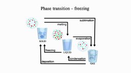 Phase transition anatomy, biology, phase, freezing, liquid, transition