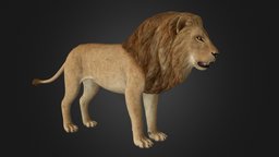 3D Lion african, lion