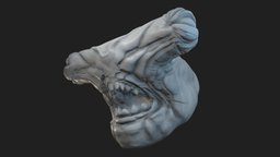Jawsome head Sculpt shark, sculpt, demon, miniature, head, hammerhead