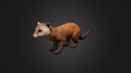 Marten rodent, marten, lowpoly, animated, rigged