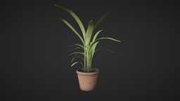 Palm Plant plant, pot, palm, prop, vegetation, nature, asset, decoration, somekevin