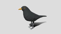 Low Poly Cartoon Blackbird topology, bird, blackbird, realistic, game-ready, low-poly, cartoon, lowpoly, black