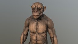 BaldChimp monkey, tree, fruit, anatomy, humanoid, chimp, chimpanzee, palm, animals, ape, mammal, mamifero, banana, zoo, animales, monkeys, zoology, bald, cesar, zoologia, mammalogy, mammals, monkeyisland, planetoftheapes, simio, animal, chimpanzees, zoologicalcollection, chinpance, baldape