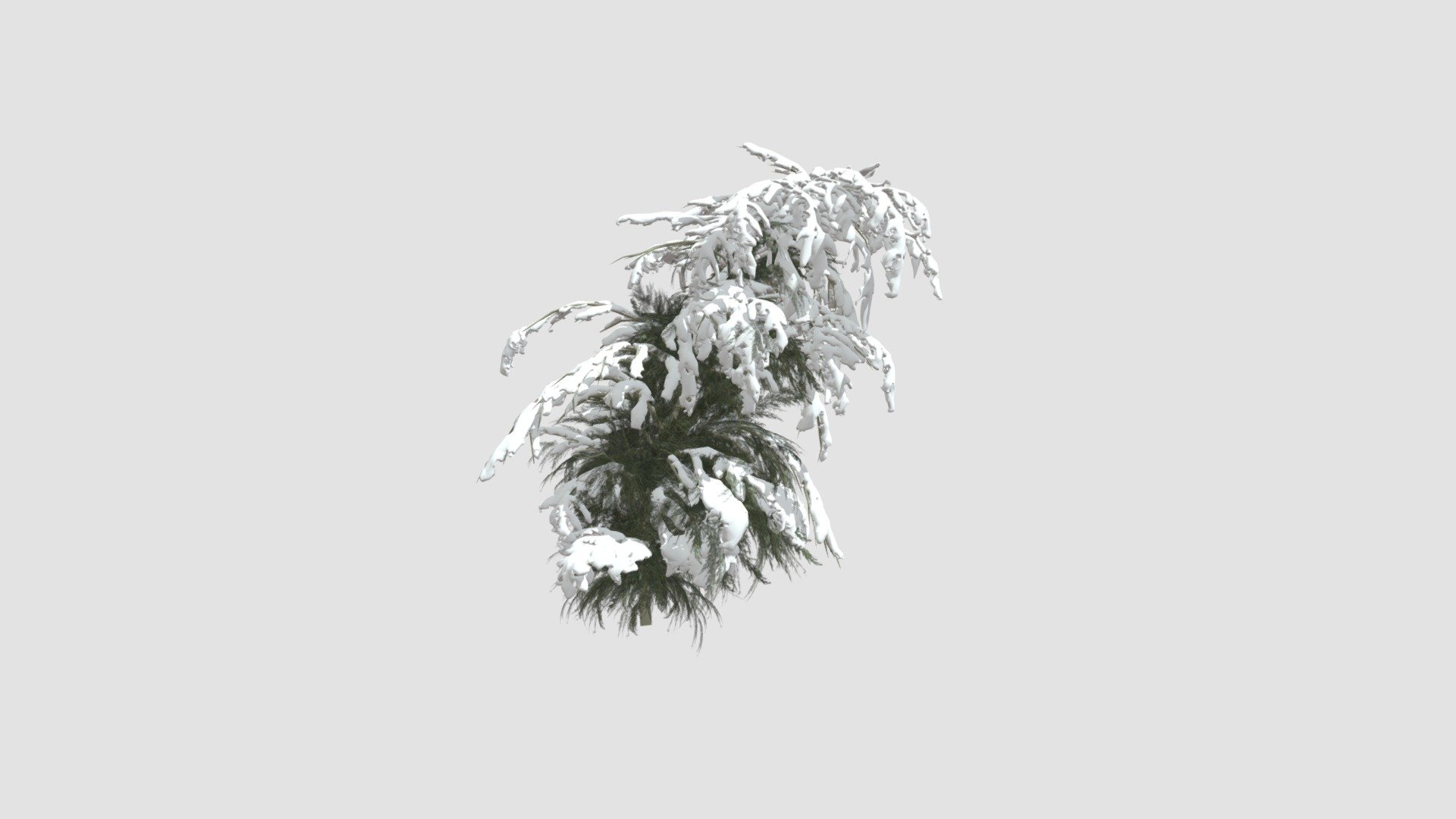 Highly detailed model of plant with all textures, shaders and materials. It is ready to use, just put it into your scene.