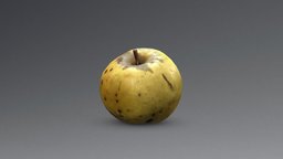 Maschanzker Apple 4 diffuse, food, fruit, photo, bad, apple, retopology, color, photogrametry, normalmap, map, realistic, normal, occlusion, christian, hyper, realism, rotten, apfel, obst, mendez, game-asset, game-model, diffusemap, nahrungsmittel, pbr-texturing, schlecht, faul, lebensmittel, frucht, metashape, asset, game, 3d, blender, scan, occlusionmap