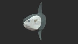 Sunfish fish, fishing, river, underwater, animals, lake, ocean, aquarium, aquatic, sealife, sunfish, oceanlife, fish-cartoon, low-poly, animal, animated, simple, sea