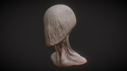 Slender Man face, sculpt, slender, creepy, gamedesign, strange, gamedev, scary, slenderman, realistic, head, gamedevelopment, substancepainter, substance, game, blender, zbrush, monster, modelling, horror