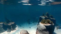 Oceanic Paradise(underwater panorama) underwater, augmentedreality, virtualreality, undersea, lowpoly, gameasset, underwaterparadise, oceanwonders, 360panoramasea, enchantingseascape, breathtakingoceanview, marinebeauty, coralreefserenity, deepbluepanorama, aweinspiringsea, mesmerizingunderwater, aquaticpanorama, seabedsplendor, underseaspectacle, tranquiltidaltextures, seascapemagic, marinepanoramaview, underwatermarvels, 360oceantextures, seascapesanctuary, submergedpanorama