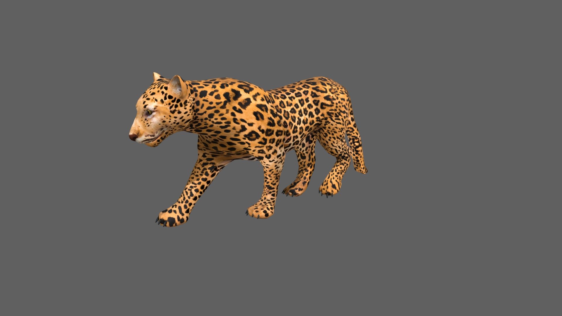 Geometry 
3.1k Quads Number of quad faces 
86 Triangles Number of triangle faces 
6.3k converted to Triangles Number of faces 
Vertices 
3.2k Number of vertices 



26 Animations Basic 
Inclue: Walk, Run, Jump, Attack, Eating, Fight Idle, Idle, Start Rest, Sleep.....etc; 



Texture: PNG format, Size: 4096*4096. 
Full PBR maps: Diffuse, Normal, Spec, Glossiness, Occlusion. 
Include UV map layer. 


