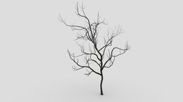 Halloween Tree-SK-31 tree, unreal, creepy, scary, nature, amazing, halloween, halloweentree