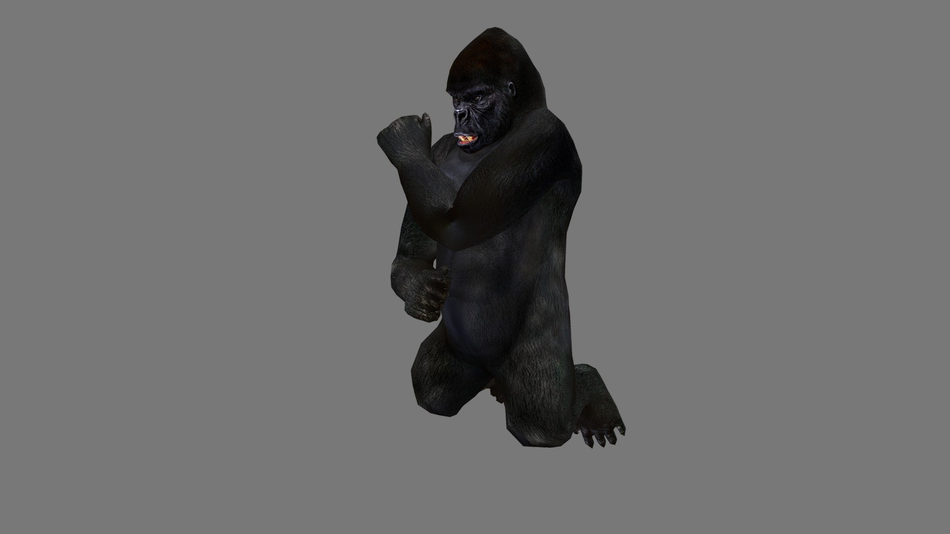 Geometry
2.3k Quads Number of quad faces
240 Triangles Number of triangle faces
4.8k converted to Triangles Number of faces
Vertices
2.4k Number of vertices 



22 Animations Basic 
Inclue: Bind Pose, Run, Sleep, Attack, Walk, Eating, Death, Wake up ..... etc; 



Texture: PNG format, Size: 2048*2048. 
Full PBR maps: COl, NRM, DISP, SPEC, OCC. 
Include UV map layer. 


