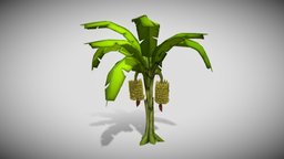 Banana Tree tree, 3dart, 3dartist, 3d