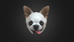 Jackie's Chihuahua model dog, pet, personalized, chihuahua, custom-made, noai