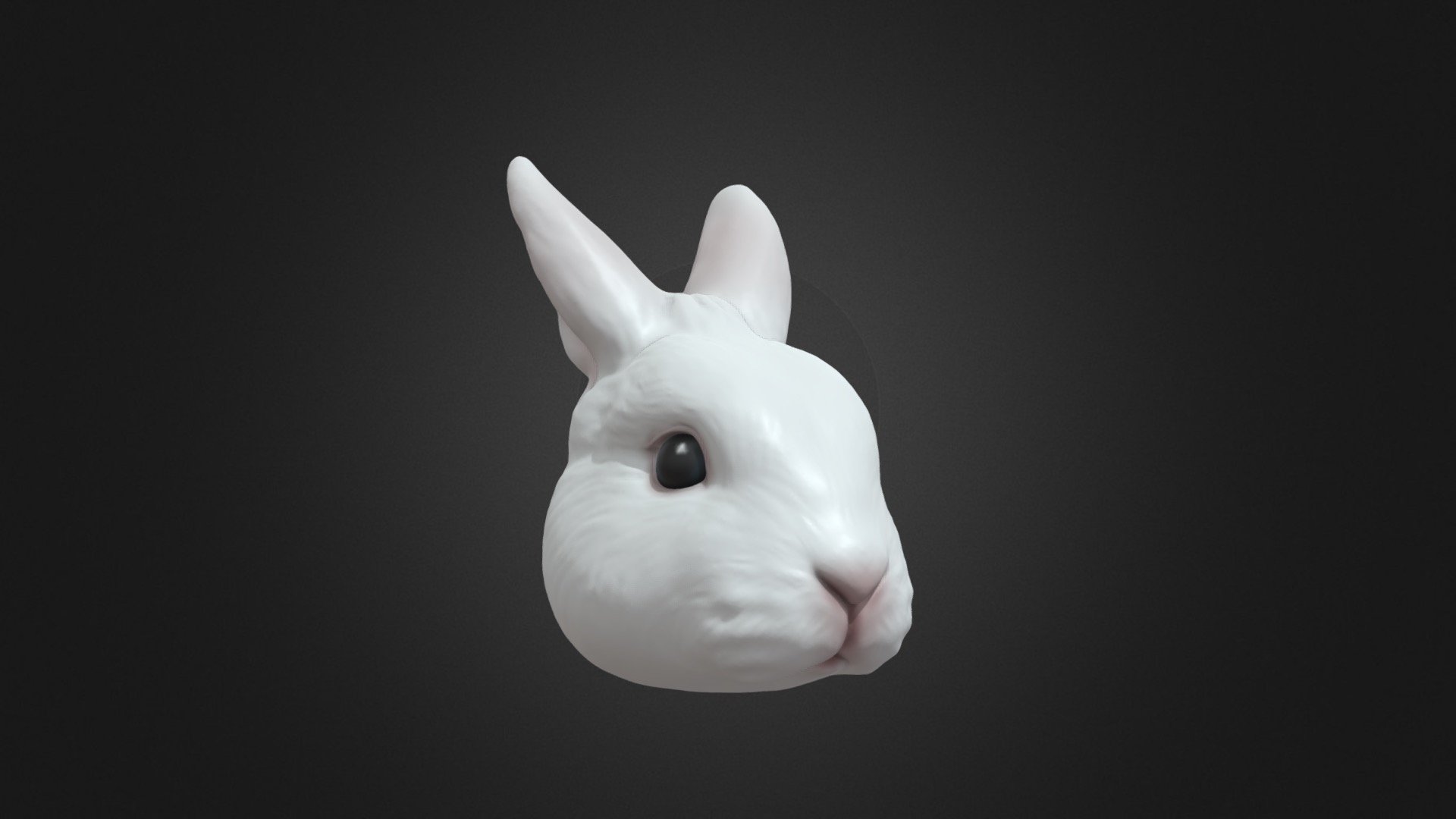 Seed by mi custom made rabbit model.

Interested to order custom made jewellery (e.g. Ring, Necklace, Earrings, Bracelet, Brooch, Magnet, Hair clips, Cufflinks etc.)?  Please visit our online store, facebook page or instagram .