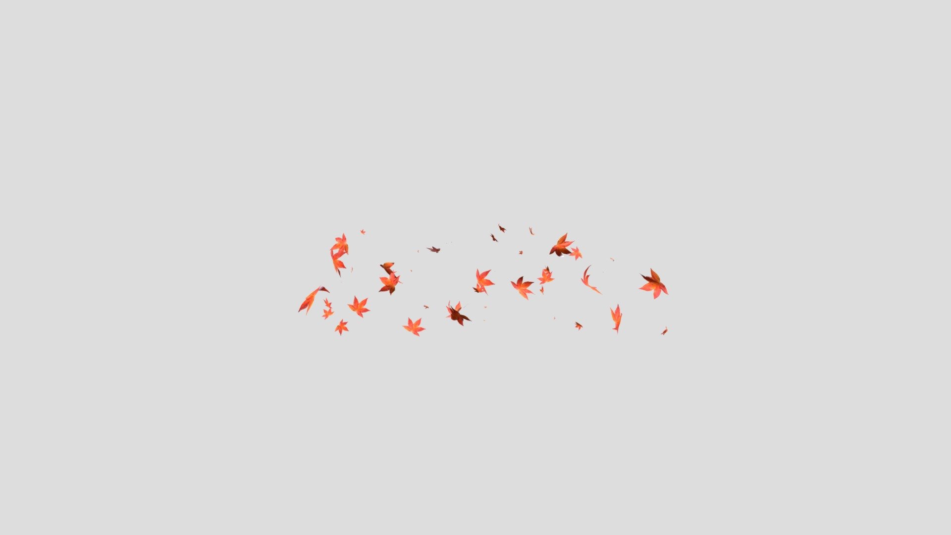 Flying leaves animation made with cinema 4d