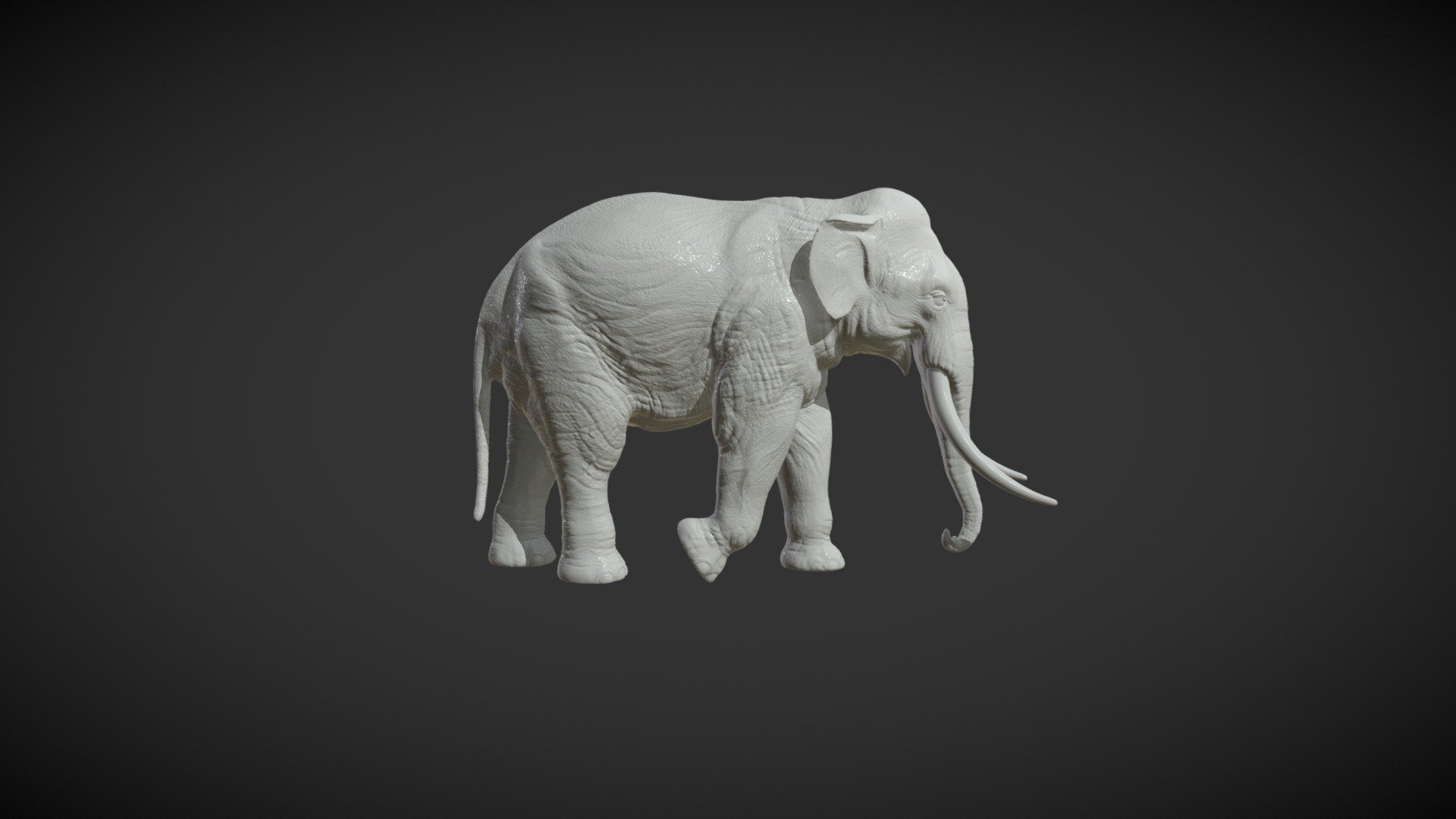 Print ready model of Elephant, can be used for CNC carving.

Measure units are millimeters , it is about 5 cm in height.

Mesh is manifold, no holes, no bad contiguous edges.

Hollow and solid versions of files are available:

1) Elephant_Pose_solid. (.blend, .obj, .3ds, .fbx, .dae) Faces : 742926 (tris) ; volume: 29.75 cm3

2) Elephant_Pose_hollow. (.blend, .obj, .3ds, .fbx, .dae) Faces :  779652 (tris) ; volume: 7.5 cm3

Wall thickness for hollow version is about 1mm. 

Each file contains one objects, no loose parts.