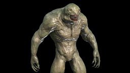 Lizard Monster beast, rpg, humanoid, demon, animals, creatures, werewolf, mystic, mutant, alien, mythical, wendigo, character-clothing, character, cartoon, game, lowpoly, characters, creature, monster, fantasy, human, robots, humanoids, necromutant, necromutants