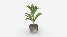Artificial plant 04 green, plant, flora, pot, flower, garden, potted, decorative, botany, decor, artificial, fake, houseplant, 3d, pbr, decoration, interior