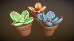 succulent plants cute, plants, gameprop, showcase, props, colorfull, succulent, adorable, houseplant, substancepainter, maya, handpainted, lowpoly, gameart, zbrush, stylized