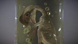 Library Interior: Oviraptor in a Jar baby, chick, lid, prop, jar, clutter, fossil, cretaceous, oviraptor, preservation, glass, creature, wood, dinosaur, noai