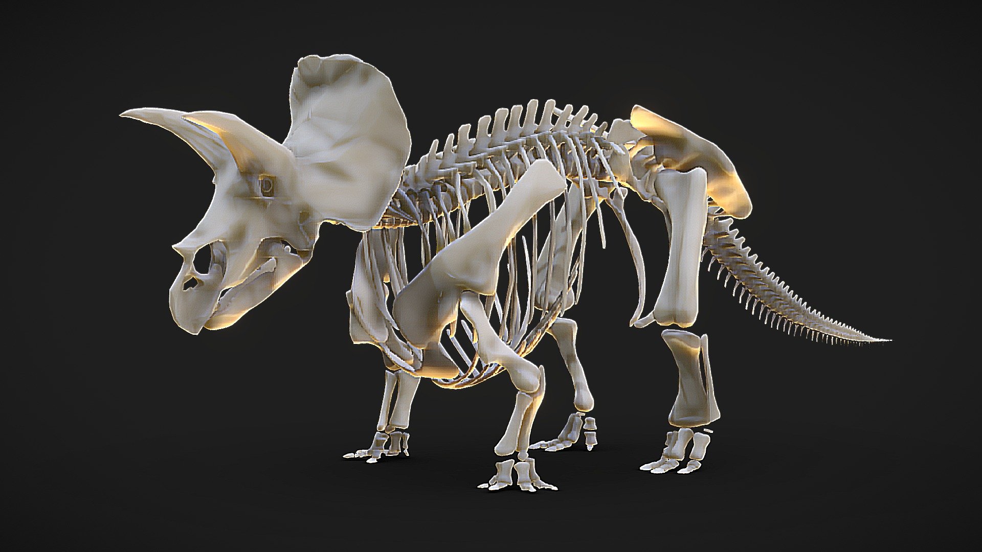 Triceratops skeleton



Skeleton partially based on skeletal by Matt Dempsey.

If you liked the model, please, leave a positive review!
