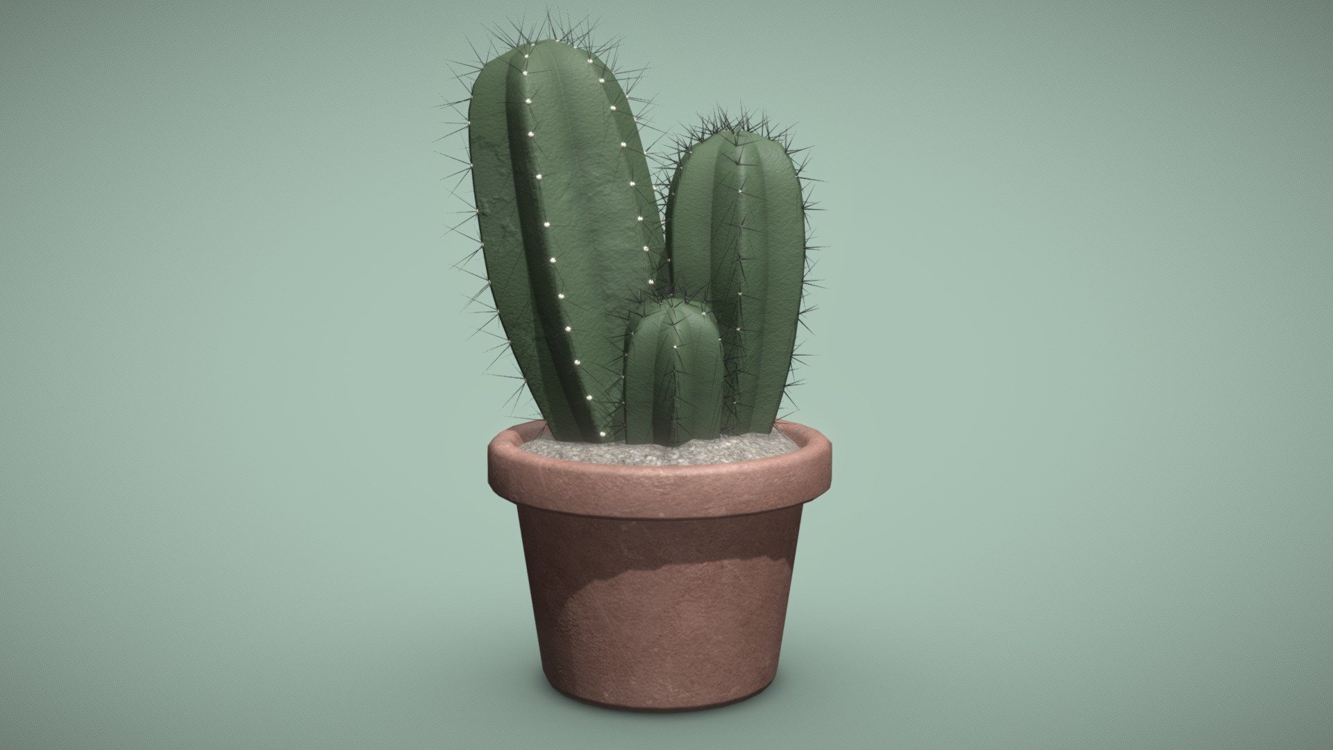 A realistic 3D model of a Myrtillocactus geometrizans, or Blue Candle Cactus. Made with Autodesk Maya and Substance Painter.