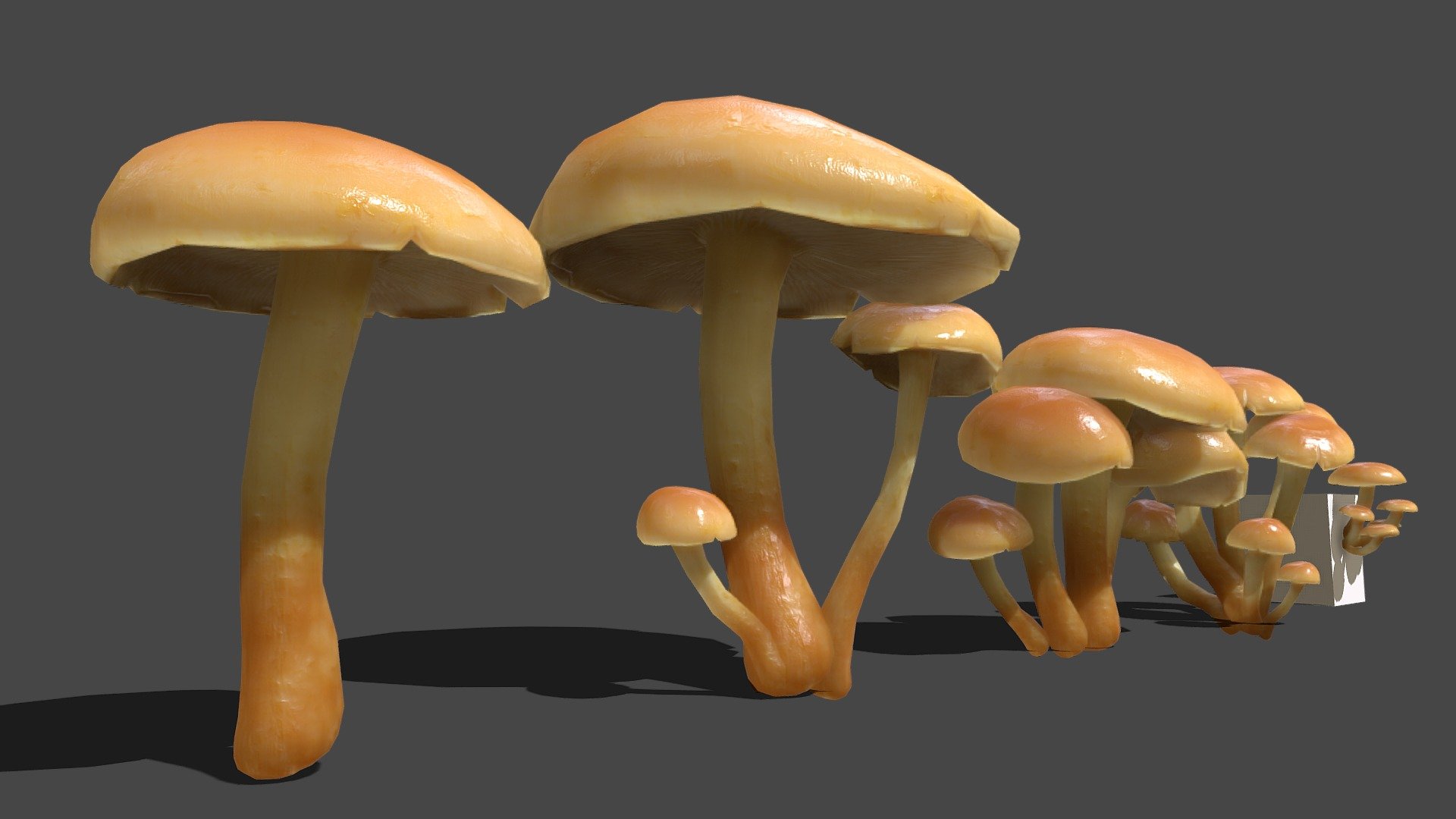 Here's another mushroom, Maybe a &ldquo;Hypholoma fasciculare&ldquo;

Contains 5 Variations of the same mesh


One mushrooms:

Triangles 808‬/ Vertices 406

2k sized texture (base color, roughness, normal map, translucent)

Quad topology (easily subdivided)



Contains the raw scans in the additional file (obj format)



Also available in this pack



Made with Metashape, Blender, Materialize and Subtance painter



If you have any questions, contact me here:

zacxophone3d@gmail.com




Blender cycles render example
