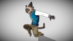 Action Cat cat, action, jump, furry, character