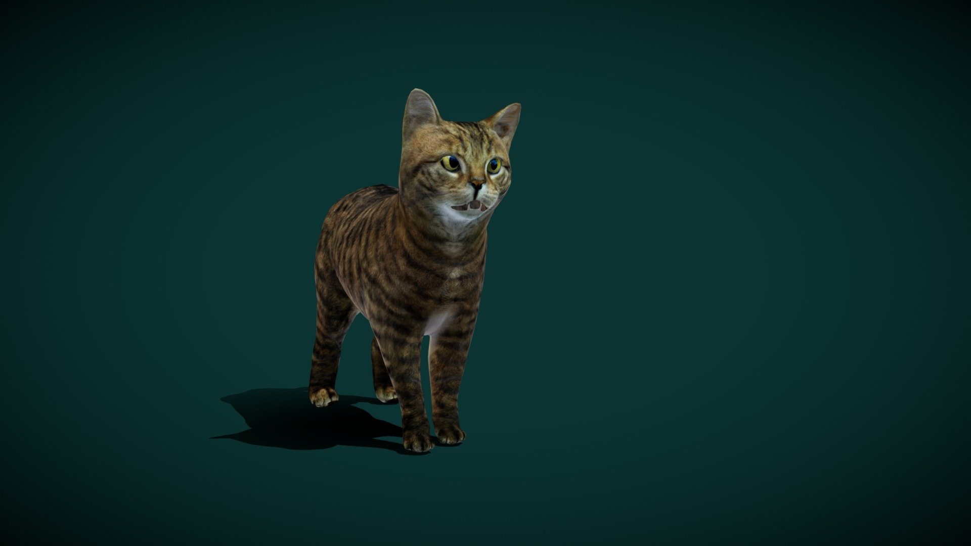 

European Wildcat (Small Cat) Pet ,Cute 

Felis-silvestris Animal Mammal ( Felidae) Animalia

1 Draw Calls

Lowpoly

Game Ready Asset

Subdivision Surface Ready

Single Animations

4K PBR Textures Materials

Unreal FBX (Unreal 4,5 Plus)

Unity FBX

Blend File 3.6.5 LTS

USDZ File (AR Ready). Real Scale Dimension (Xcode ,Reality Composer, Keynote Ready)

Textures Files

GLB File (Unreal 5.1 Plus Native Support)

Gltf File ( Spark AR, Lens Studio(SnapChat) , Effector(Tiktok) , Spline, Play Canvas,Omiverse ) Compatible

Vertices  -3060

Triangles -5966

Faces     -3230

Edges     -6287

Diffuse, Metallic, Roughness , Normal Map ,Specular Map,AO,
The European wildcat is a small wildcat species native to continental Europe, Scotland, Turkey and the Caucasus. It inhabits forests from the Iberian Peninsula, Italy, Central and Eastern Europe to the Caucasus. Wikipedia
Scientific name: Felis silvestris
Family: Felidae
Kingdom: Animalia
Order: Carnivora