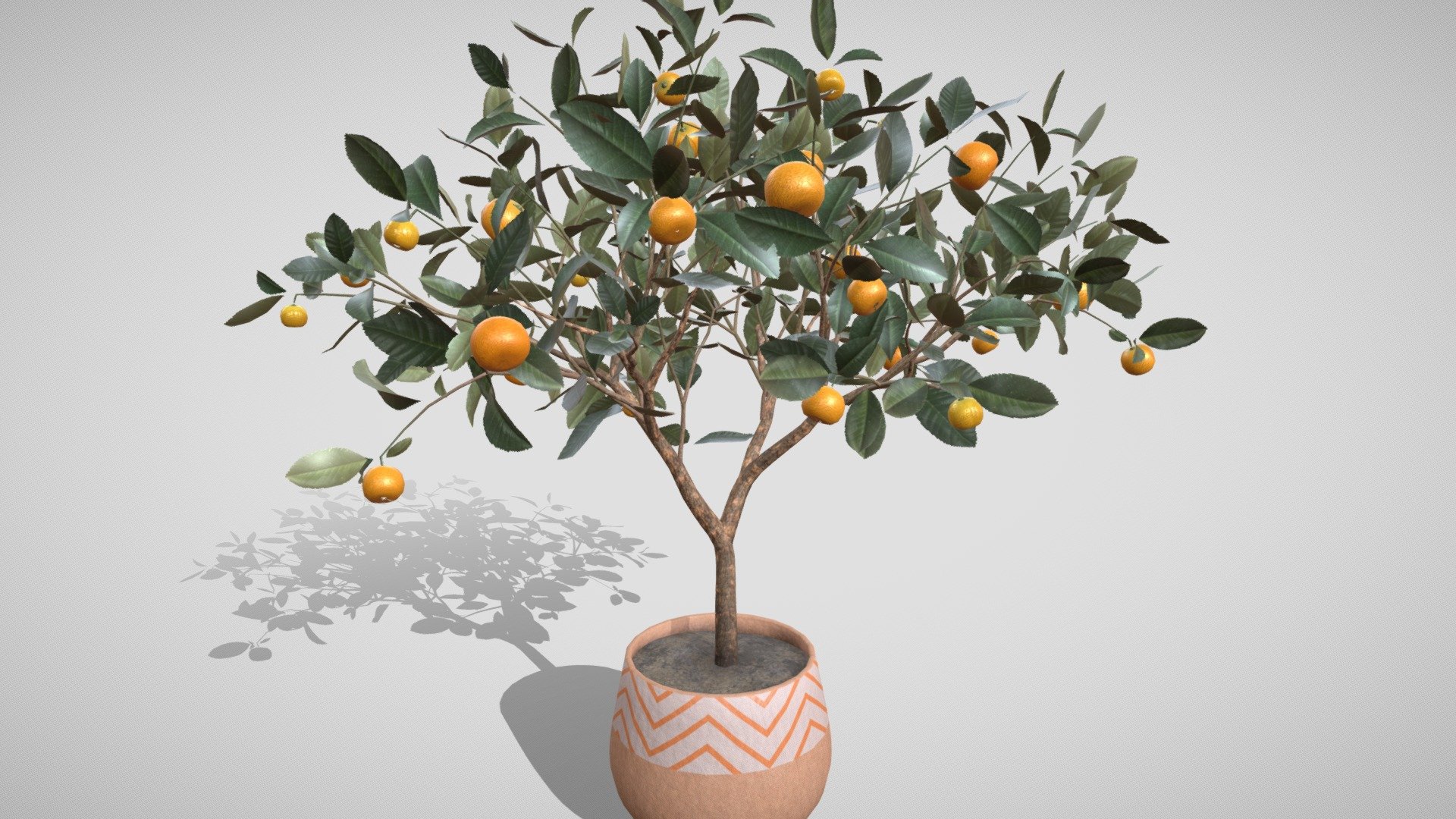 Detailed model of a mandarin tree with bright fruits.
A mandarin tree will be a unique decoration for the interior of an apartment, garden or street.

And also will add nature vibes to your 3D project, game or metaverse:)


Video about the model


Model info



quads clean topology, 18k faces

clean unwrapped UV

3 sets of texture maps in 4K and 2K resolution

3 materials

ready to use in blend and fbx format

Built with Blender. Origin Blender file attached


Thanks for watching^.^
If you have problems with the purchase you can find me by email tochechkavhoda@gmail.com on other services: cgtrader, booth, unity assetstore.

Have questions about the model? Mail me: tochechkavhoda@gmail.com