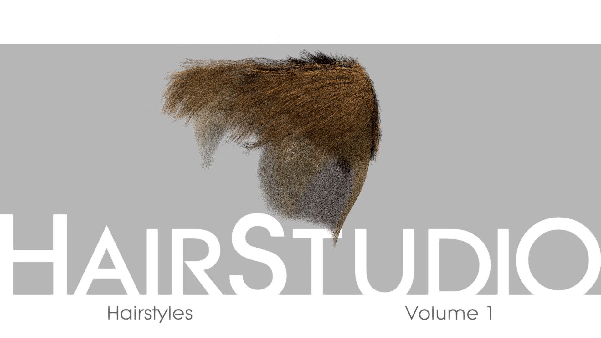 Balding/Receding/Thinning HairStyle from HairStudio Vol.01. 

Please see &ldquo;annotations