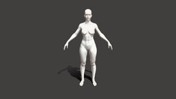 Female Basemeshes, low & high poly, rigged body, sculpt, base, anatomy, mesh, basemesh, sculpting, head, woman, beautiful, human-anatomy, basemash, base-mesh, female-anatomy, basemesh-female, character-base-mesh, character, low-poly, girl, blender, female, zbrush, rigged, low-poly-base, basemeshes, base-character, low-poly-basemesh, female-basemesh, human-body-base-mesh, low-poly-base-mesh, blender-base, rigged-base, rigged-basemesh, sculpting-base, girl-anatomy, female-base-mesh, woman-base, woman-base-mesh, woman-basemesh, base-mesh-female
