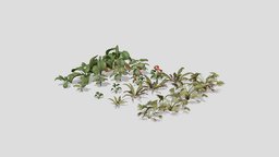 Tropical Plants Pack