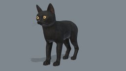 Cat - Bombay cat, kitty, pet, domestic, lowpoly, animation, black
