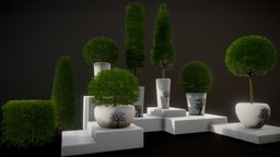 Boxwood Bush Pack with Pots plant, garden, exterior, vegetation, bush, boxwood, blender3dmodel, exterior-design, hedge, unrealengine4-unity5, gamerady, nature-plants, potted-plant, boxwood-bush, exterior-prop