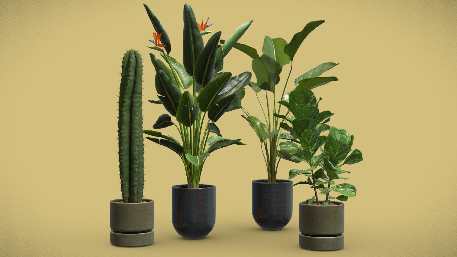 Indoor Plants Pack 47

This selection of indoor exotic plants will provide a level of detail that will take your visualizations to the next level.




Ficus Lyrata (Fiddle Leaf Fig)

Saguaro Cactus

Calathea Lutea

Strelitzia Reginae

4k Textures




Vertices  56 646

Polygons  51 775

Triangles 99 677
