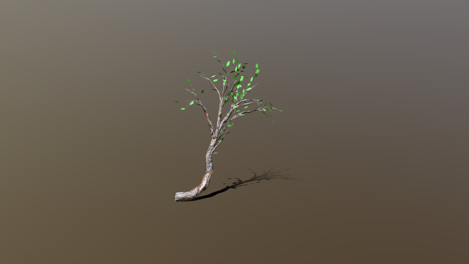 Hill/Cliff side tree. This is for LOD purposes or no/less details

Instruction for game engines: - Double sided material, with alpha-clipping on