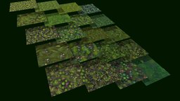 Grass Forest Floor 20 TEXTURES (Handpainted) forest, grass, terrain, garden, handpaint, floor, ground, nature, tileable, game, texture, leaves, environment